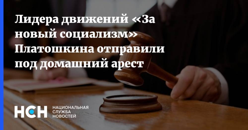 Николай Платошкин - Джордж Флойд - Лидера движений «За новый социализм» Платошкина отправили под домашний арест - nsn.fm - Москва - США