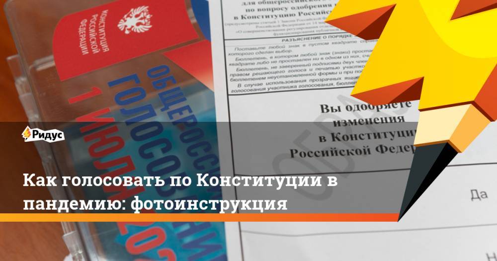 Как голосовать по Конституции в пандемию: фотоинструкция - ridus.ru - Россия