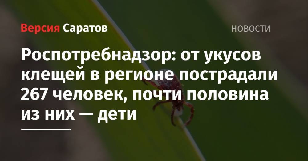 Роспотребнадзор: от укусов клещей в регионе пострадали 267 человек, почти половина из них — дети - nversia.ru - Саратовская обл.