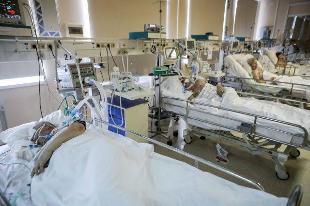 В России за сутки зарегистрировали 8 726 человек с коронавирусом - aif.ru - Москва - Россия - Санкт-Петербург - Московская обл.