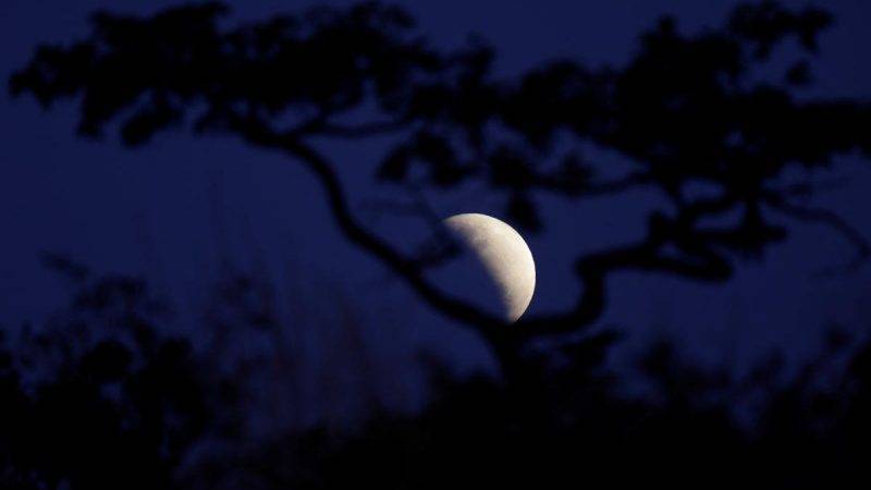 Лунное затмение 5 июня 2020 года: кто можно делать, а что нельзя во время полнолуния под воздействием Марса и Венеры - pravda-tv.ru - США - Австралия