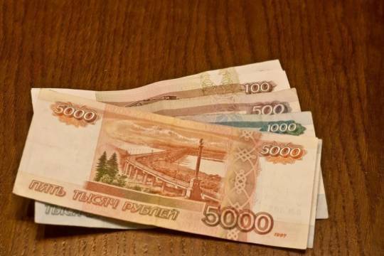Россиянка заставила сыновей обокрасть соседей - versia.ru - Карелия