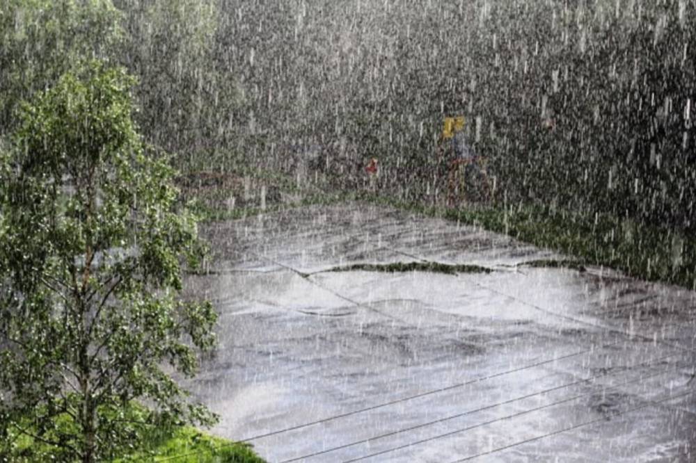 Затопленные парки и реки на улицах: город на Закарпатье пострадал от сильного ливня (фото) - newsone.ua - Мукачево