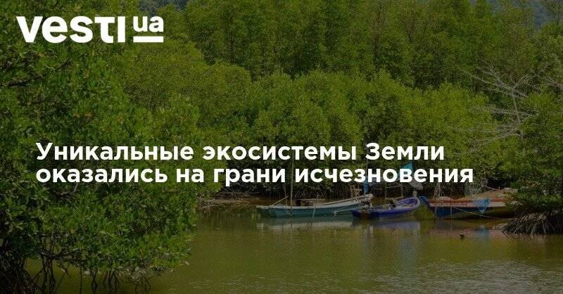 Уникальные экосистемы Земли оказались на грани исчезновения - vesti.ua - Украина