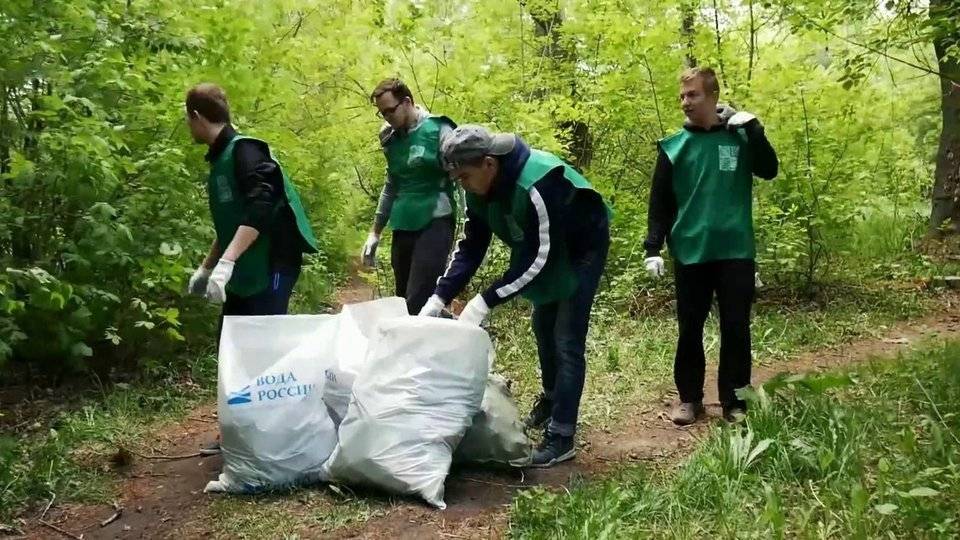 В России отмечают День эколога - 1tv.ru - Россия - Московская обл. - Приморье край - Ногинск