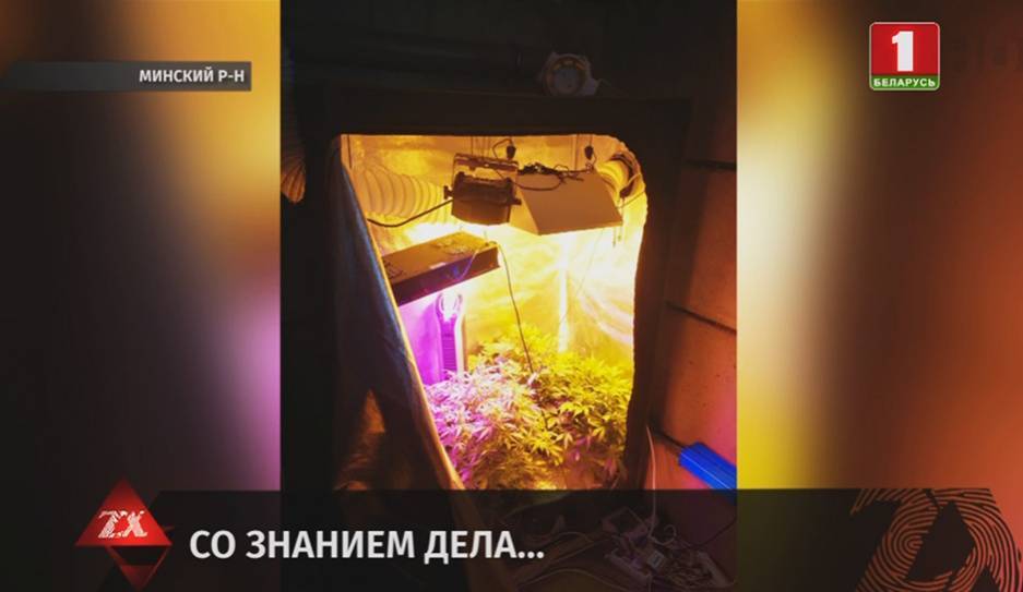 Сотрудник IT-компании решил испытать себя в сфере производства наркотиков - tvr.by - район Минский