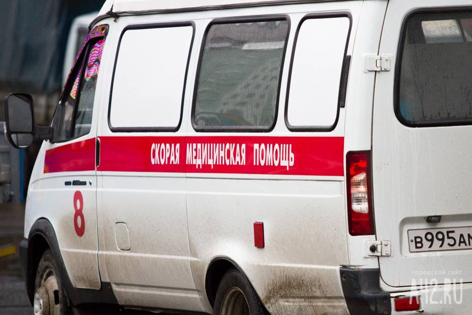 В Кузбассе двоих детей госпитализировали после нападения змей - gazeta.a42.ru