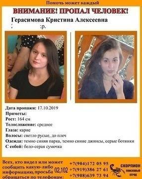 Александр Бастрыкин - Бастрыкин взял на контроль дело о гибели 23-летней тагильчанки - znak.com - Россия