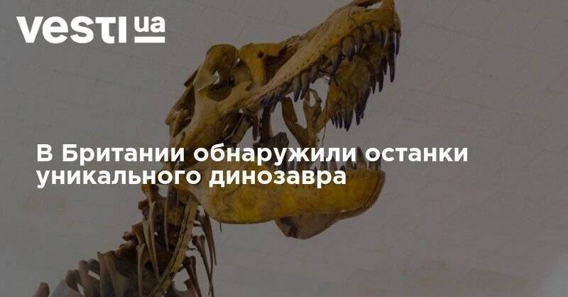 В Британии обнаружили останки уникального динозавра - vesti.ua - Украина - Англия