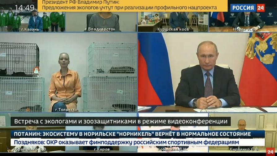 Владимир Путин - Путин пообещал помочь приюту кошек из Тольятти - gazeta.ru - Россия - Тольятти