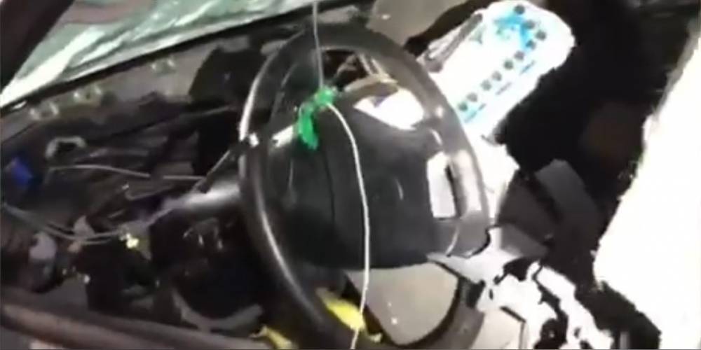 Видео: медведь в поисках еды уничтожил салон автомобиля - autonews.ru - шт. Калифорния