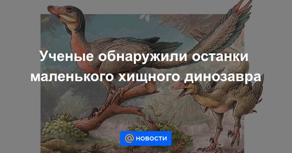 Анна Лысенко - Ученые обнаружили останки маленького хищного динозавра - news.mail.ru - Мадагаскар