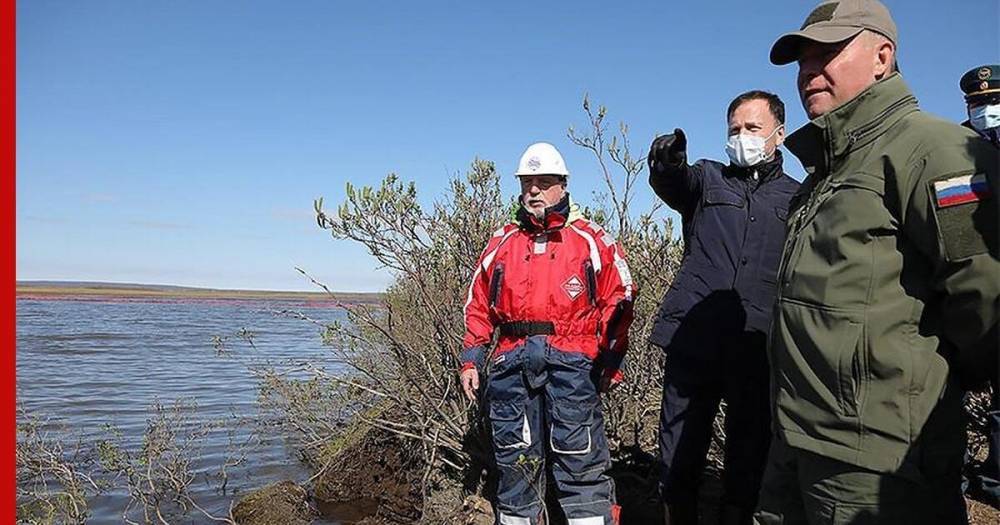 Светлана Радионова - Эксперты оценили ущерб природе из-за ЧП в Норильске - profile.ru - Норильск