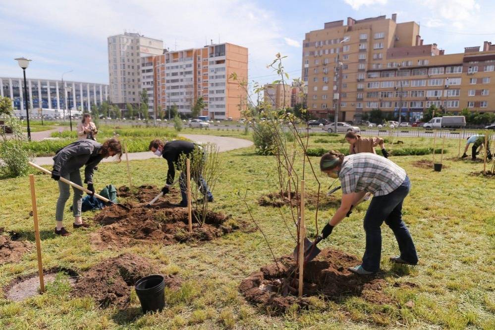 Площадь озеленения кварталов Нижнего Новгорода увеличится в два раза - vgoroden.ru - Нижний Новгород