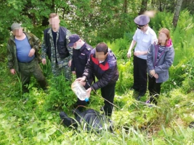 Нижегородцы облили бензином и подожгли человека - vgoroden.ru - район Борский