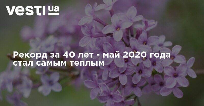 Рекорд за 40 лет - май 2020 года стал самым теплым - vesti.ua - Украина
