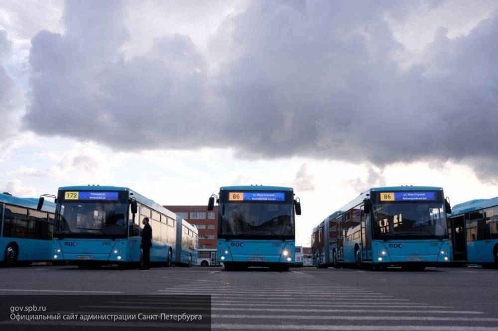 "Метробусы" начнут курсировать по Петербургу в вечерние и ночные часы с 8 июня - nation-news.ru - Петербурга