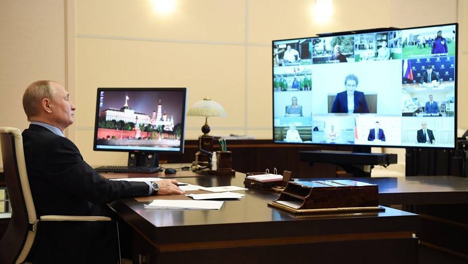 Владимир Путин - Путин пообещал помочь бездомным кошкам в Тольятти - dp.ru - Россия - Тольятти