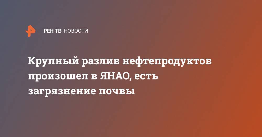 Владимир Путин - Крупный разлив нефтепродуктов произошел в ЯНАО, есть загрязнение почвы - ren.tv - Россия - окр. Янао - Норильск