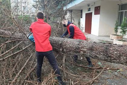 Активисты помогли устранить последствия урагана в Северной Осетии - lenta.ru - Россия - респ. Алания