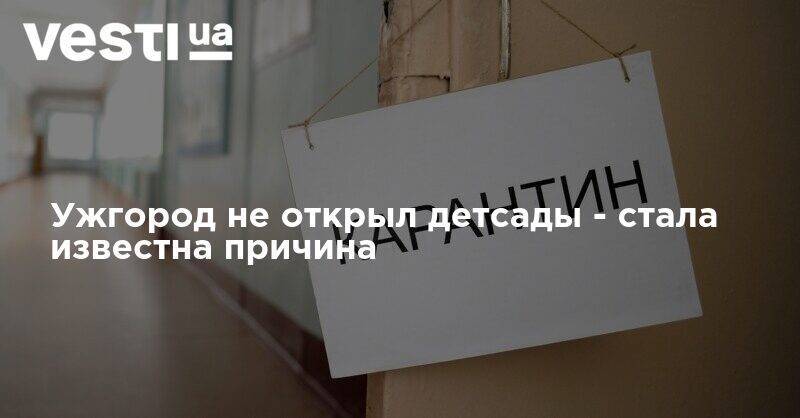 Максим Козицкий - Ужгород не открыл детсады - стала известна причина - vesti.ua - Львов - Ужгород