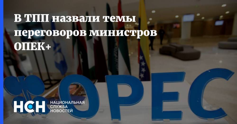 Рустам Танкаев - В ТПП назвали темы переговоров министров ОПЕК+ - nsn.fm