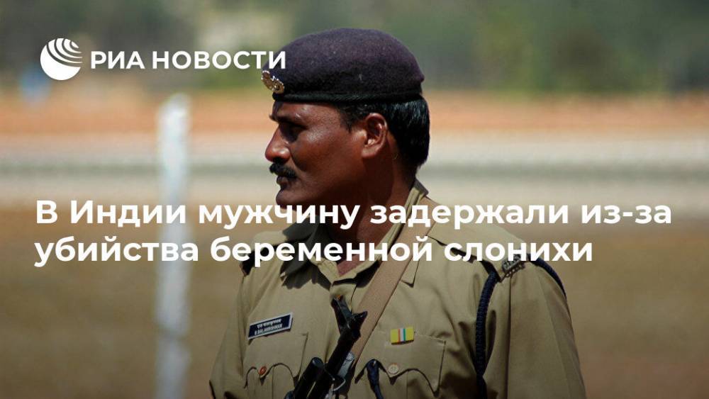 В Индии мужчину задержали из-за убийства беременной слонихи - ria.ru - Москва - Индия - India - штат Керала