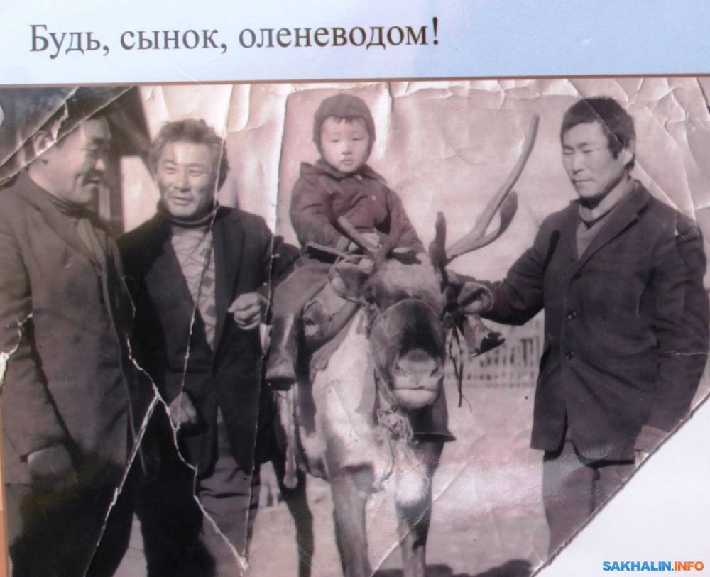 Владимир Санги прокомментировал закон о поддержке оленеводства на Сахалине - sakhalin.info - Сахалинская обл.