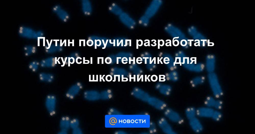 Наталья Комарова - Путин поручил разработать курсы по генетике для школьников - news.mail.ru - Россия - Югра