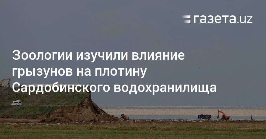 Зоологии изучают влияние грызунов на плотину Сардобинского водохранилища - gazeta.uz - Узбекистан