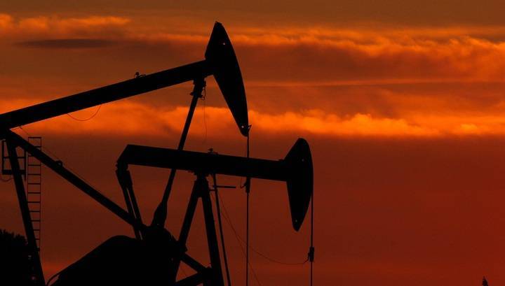 Александр Новак - Новак: спрос на нефть восстанавливается, но рынок все еще хрупок - vesti.ru - Россия