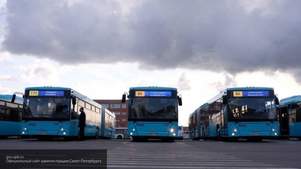 Свыше 15 человек пострадали в столкновении двух пассажирских автобусов в Ингушетии - nation-news.ru - респ. Ингушетия - район Сунженский