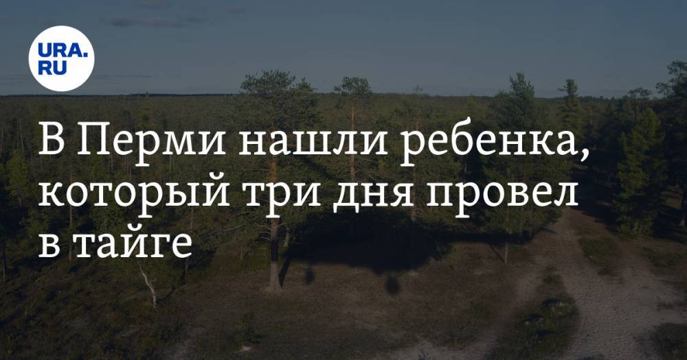 В Перми нашли ребенка, который три дня провел в тайге - ura.news - Пермь - Пермский край
