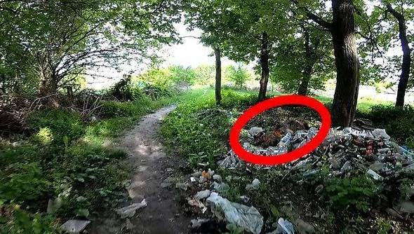 В Луганске на мусорную свалку выбросили труп террориста «ЛНР» - real-vin.com - ЛНР - Луганск