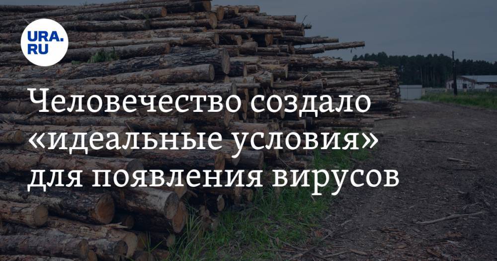 Человечество создало «идеальные условия» для появления вирусов. COVID — не последняя пандемия - ura.news