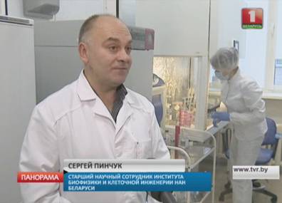 Белорусским специалистам удалось получить искусственную кожу - tvr.by