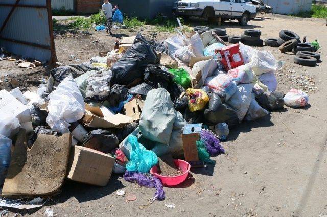Призы за уборку мусора предлагают в Хабаровске - hab.aif.ru - Хабаровск