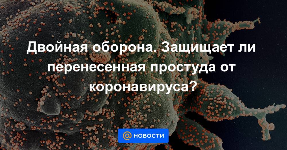 Двойная оборона. Защищает ли перенесенная простуда от коронавируса? - news.mail.ru