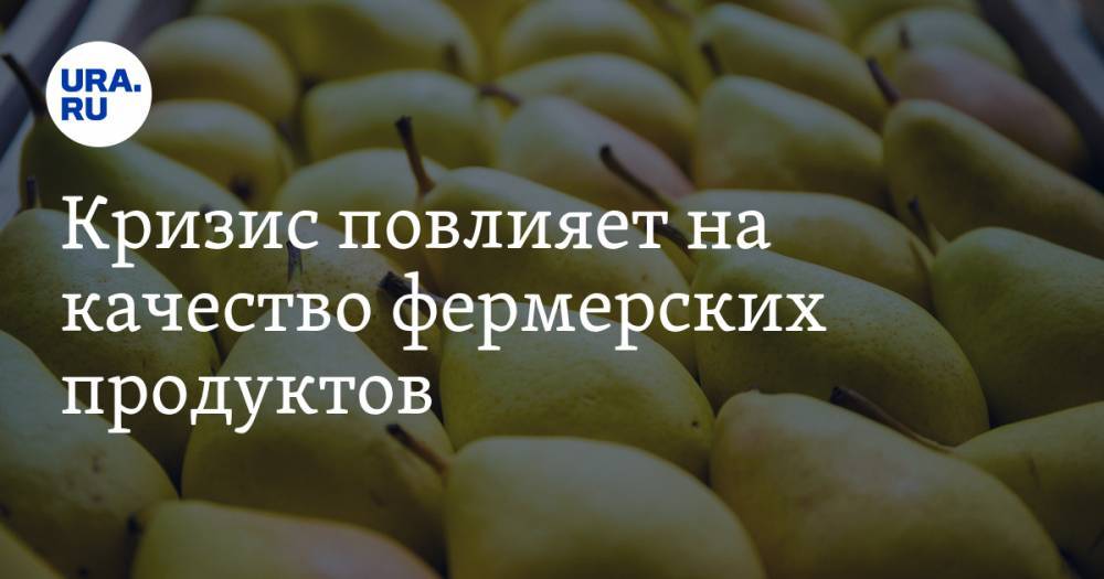 Сергей Катырин - Кризис повлияет на качество фермерских продуктов - ura.news - Россия