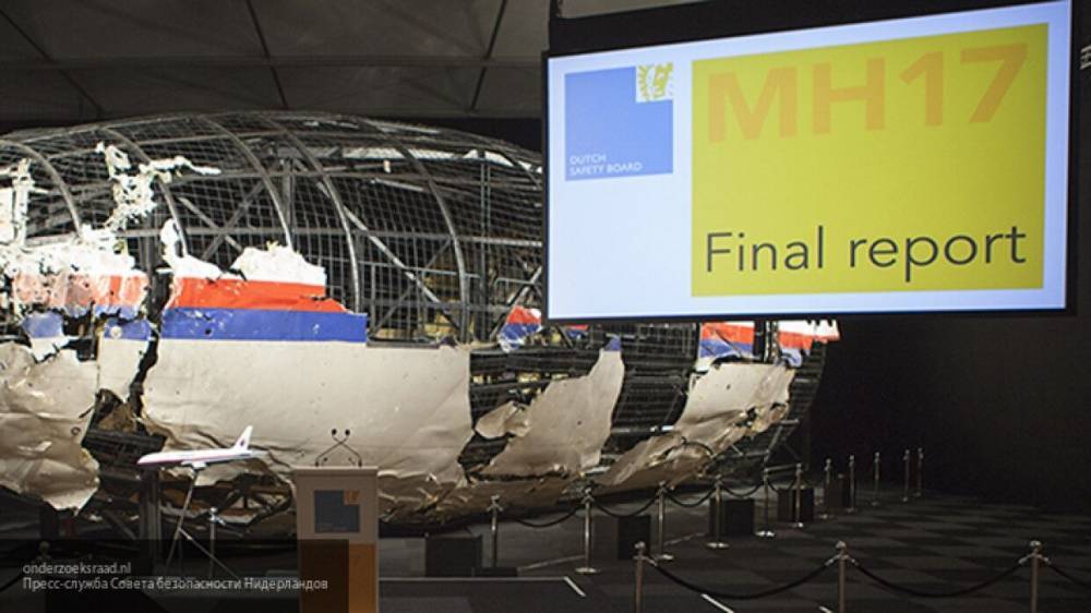 Эрик ван де Бек уличил западные СМИ в предвзятости по делу MH17 - polit.info - Россия - Украина - Голландия