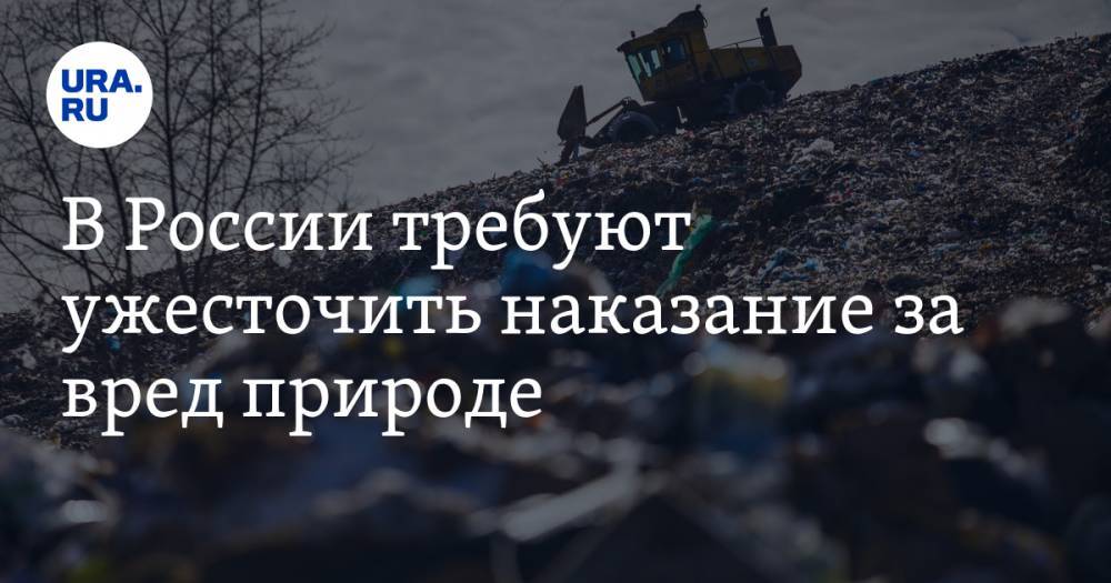 Светлана Радионова - В России требуют ужесточить наказание за вред природе - ura.news - Россия - Красноярский край - Норильск