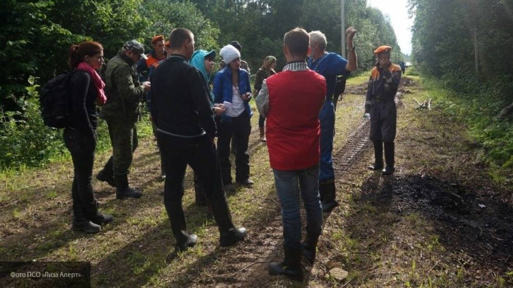 Владислава Грин - Люди стали чаще пропадать во Владимирской области - nation-news.ru - Владимирская обл. - Пермский край