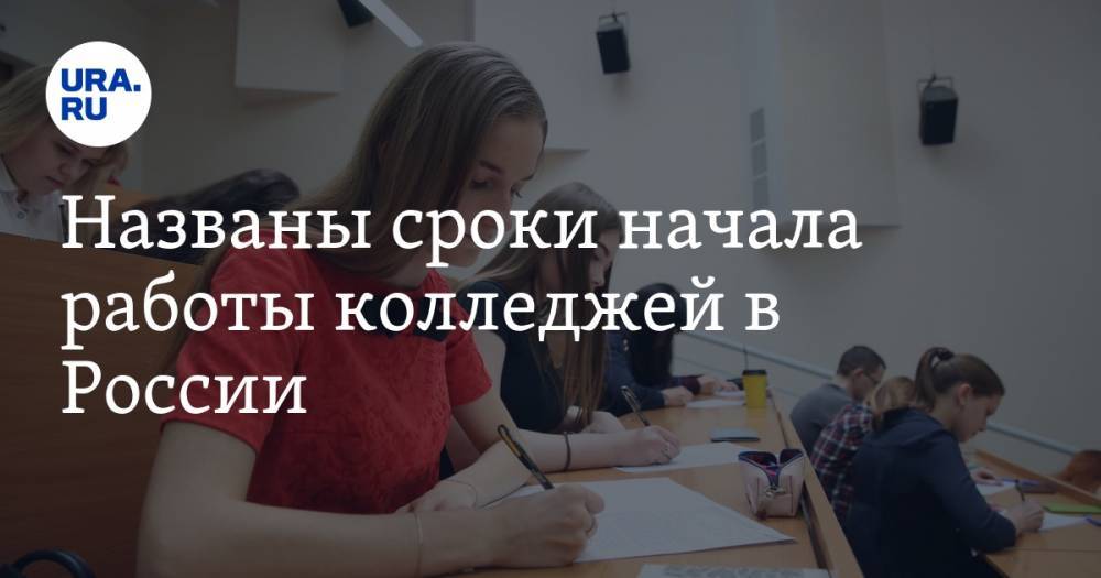 Дмитрий Глушко - Названы сроки начала работы колледжей в России - ura.news - Россия