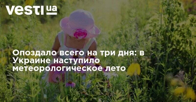 Борис Срезневский - Опоздало всего на три дня: в Украине наступило метеорологическое лето - vesti.ua - Украина - Киев