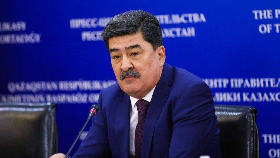 Вице-министр экологии о шашлычных и отелях в Иле-Алатау: Ситуацию надо в корне менять - informburo.kz - Казахстан - Алма-Ата