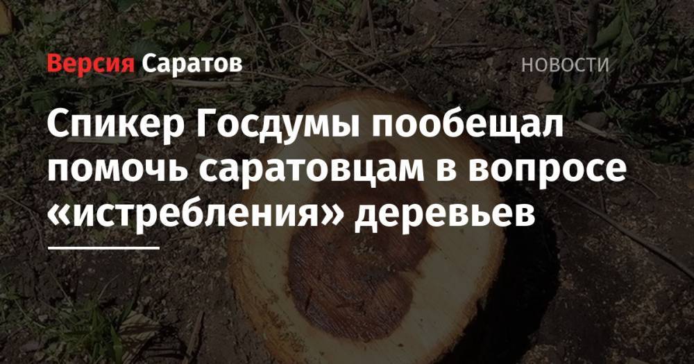 Вячеслав Володин - Спикер Госдумы пообещал помочь саратовцам в вопросе «истребления» деревьев - nversia.ru - Саратов