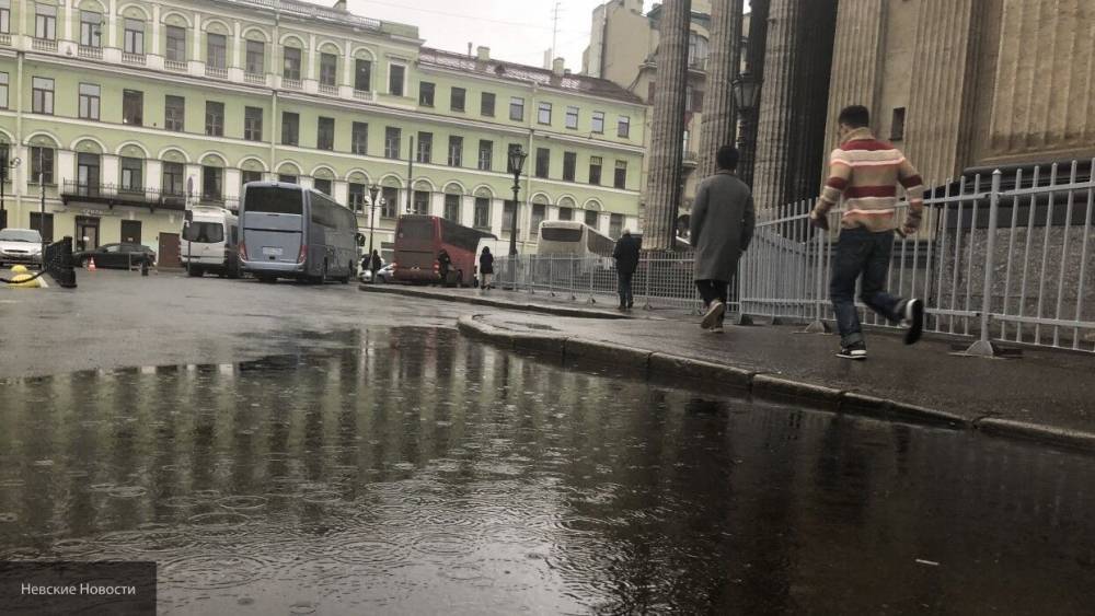 МЧС предупредило жителей Петербурга о сильном ветре и грозах в понедельник - nation-news.ru - Петербурга