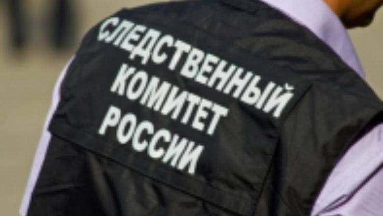 Ольга Врадий - Сотрудники СКР нашли похищенного в Подмосковье сына адвоката Скрыпника - newizv.ru - Россия - Московская обл. - Ногинск - Московская область