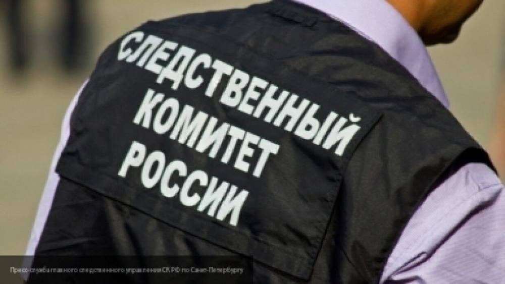 СК сообщил о втором подозреваемом в убийстве девочки, найденной под Красноярском - nation-news.ru - Красноярский край - Красноярск
