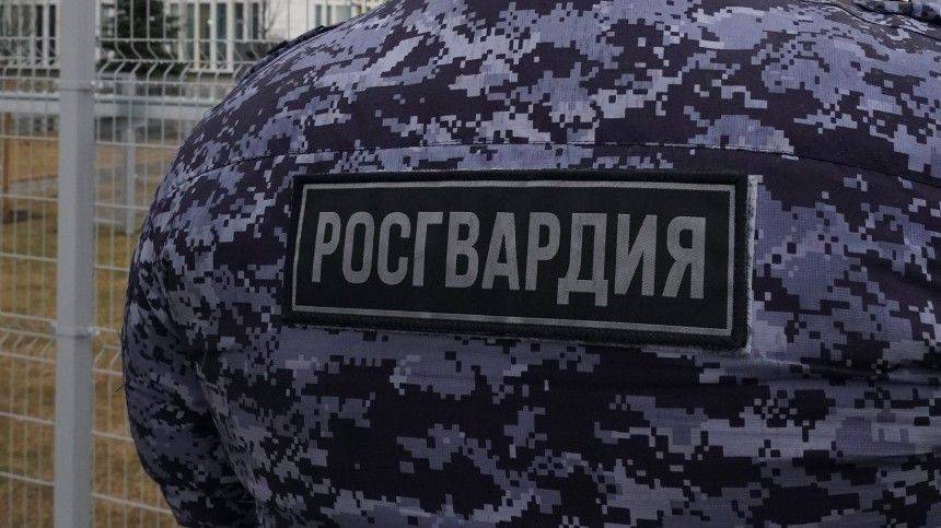 Валерий Грибакин - Видео: в Росгвардии прокомментировали задержание темнокожего парня в столице - 5-tv.ru - Москва - Россия